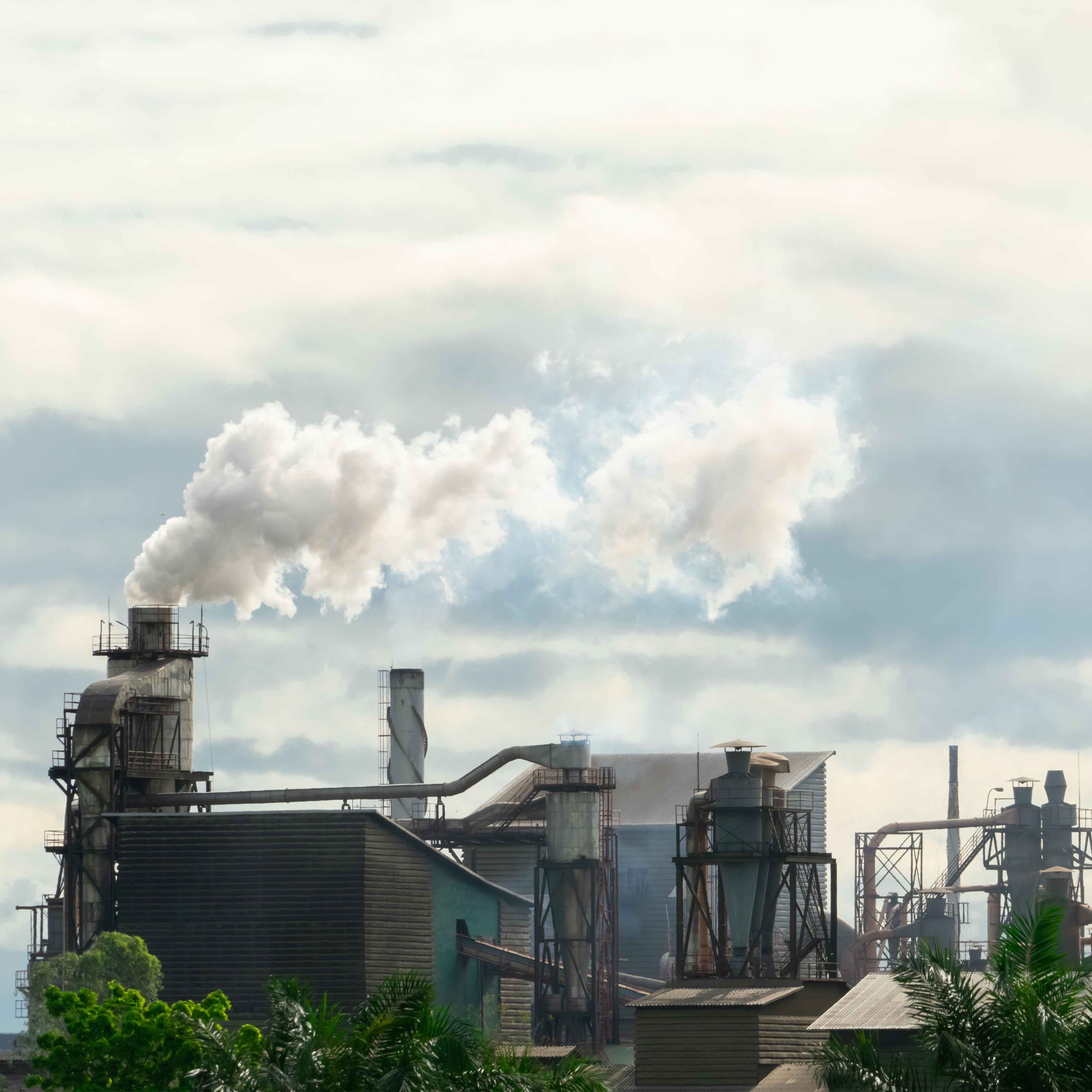 Plan de décarbonation : étapes clés et facteurs de réussite